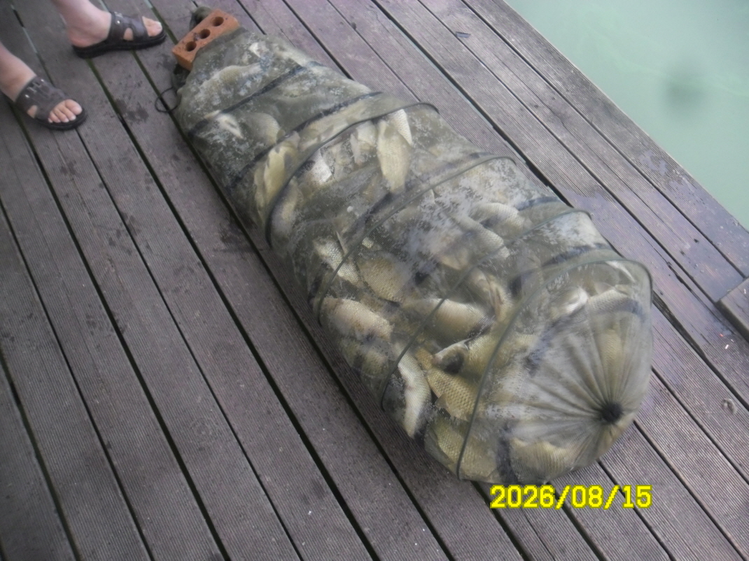 SAM_2092.JPG