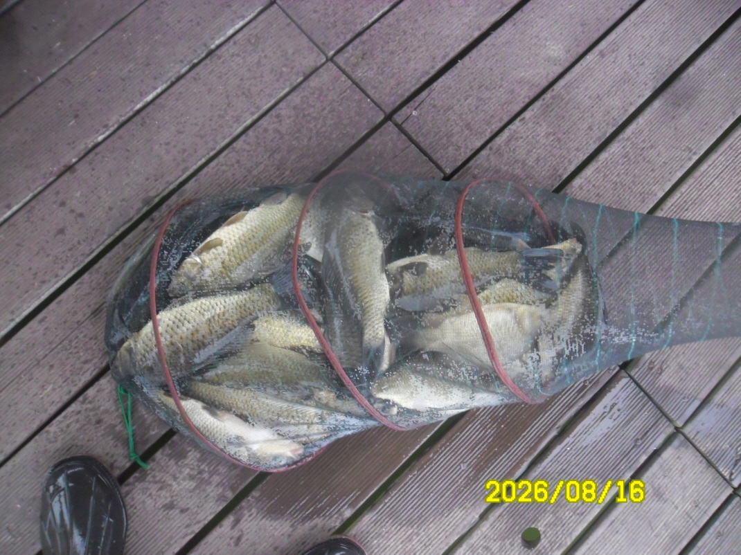 SAM_2168.JPG
