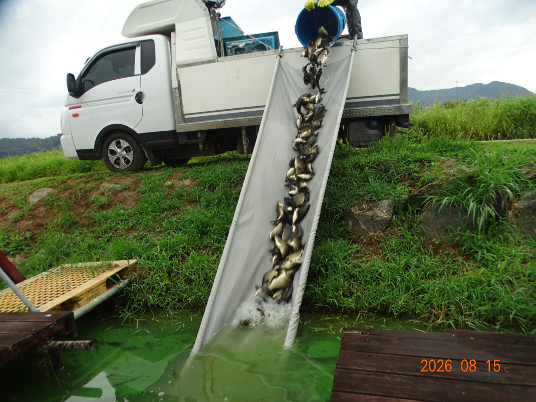 DSC07451.JPG