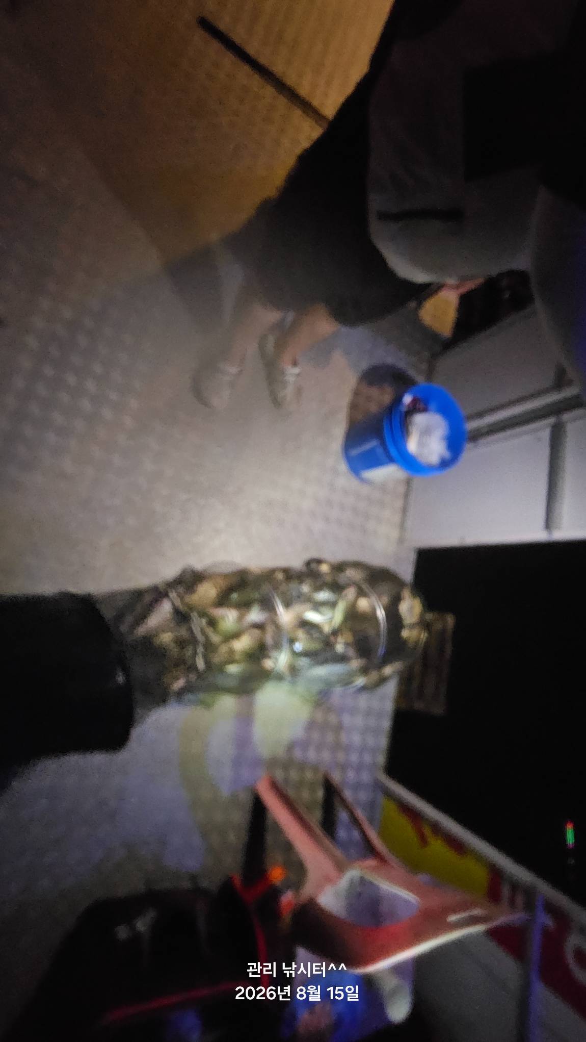 20260815_201933.jpg