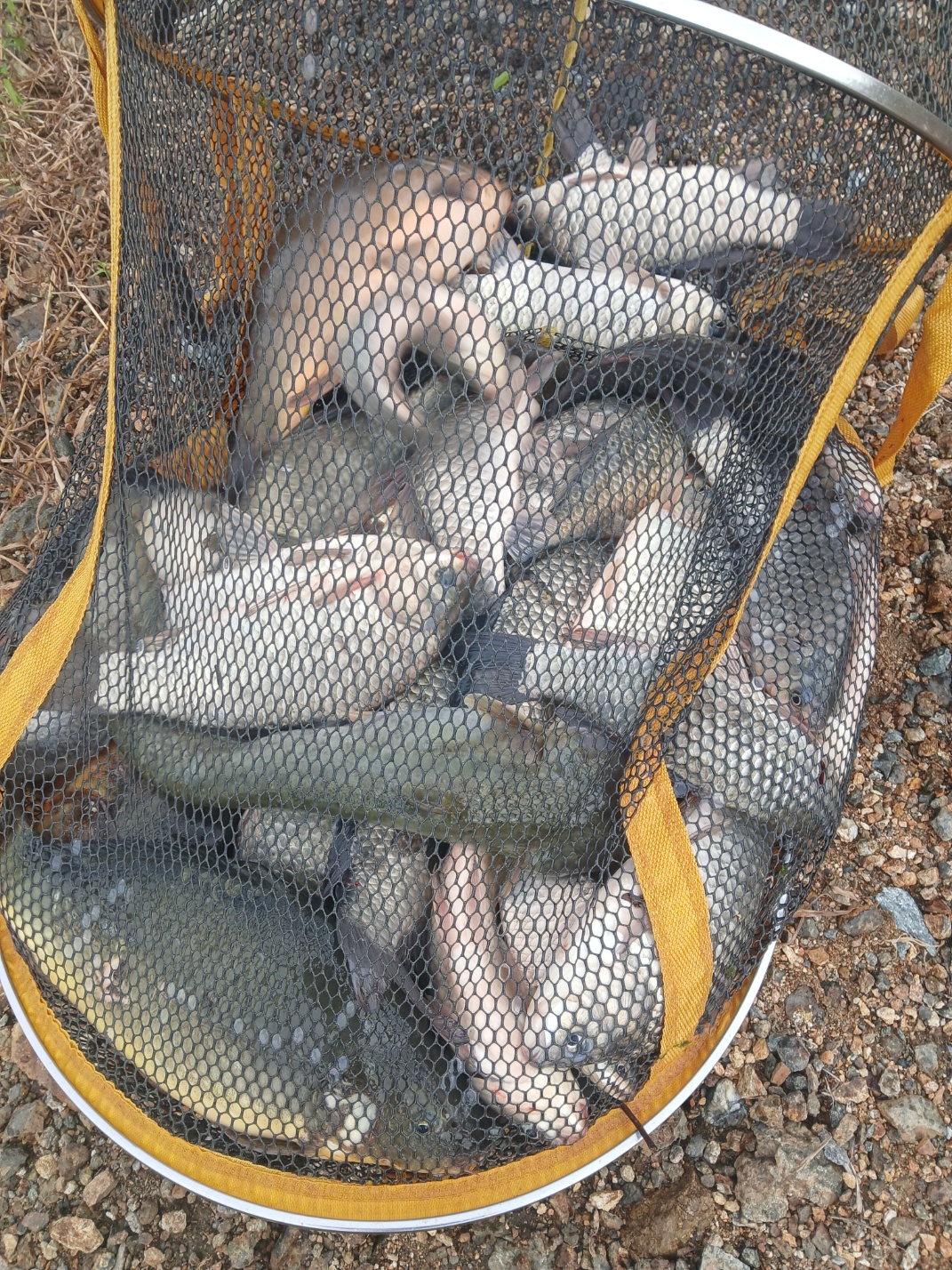 KakaoTalk_20260816_170047443.jpg