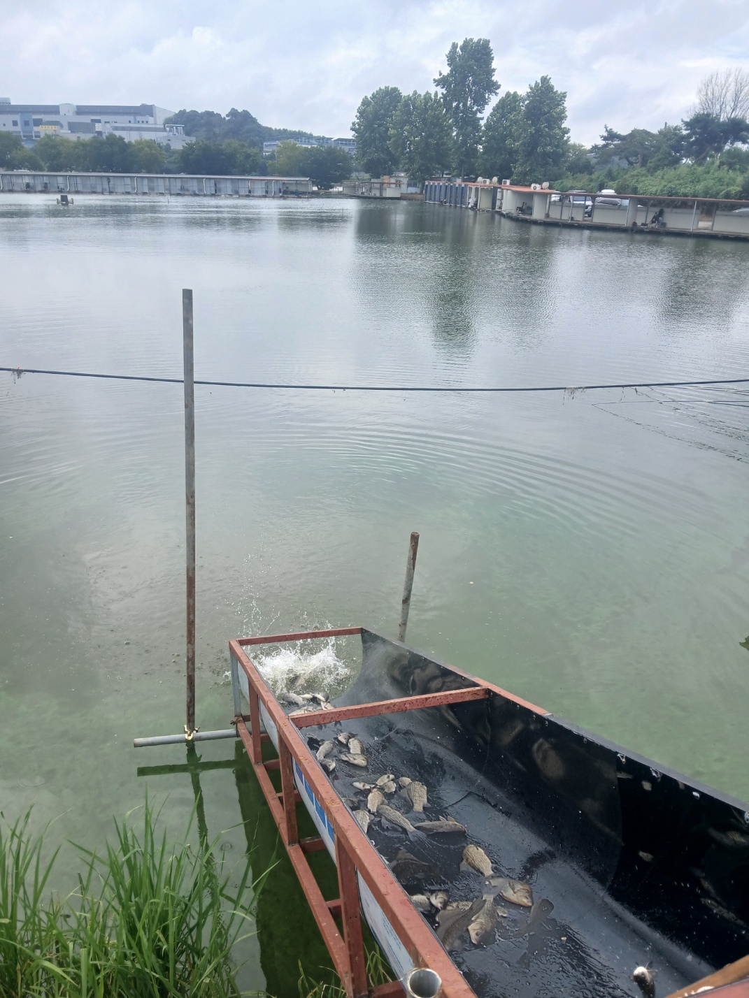 KakaoTalk_20260816_165350992_14.jpg