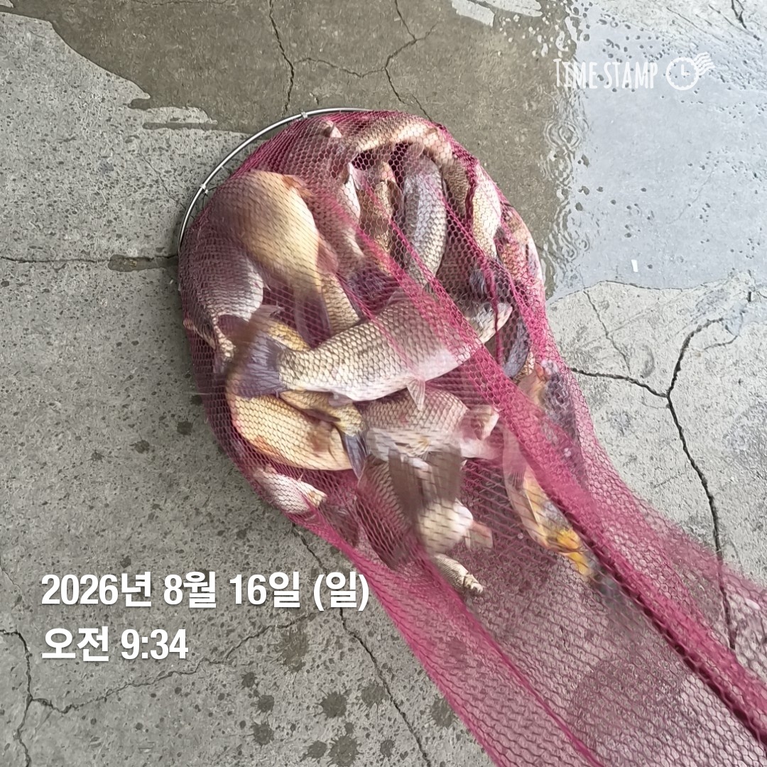 1787006813711.jpg
