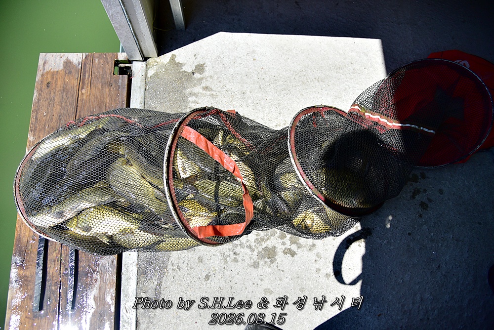 LEE_6707.JPG