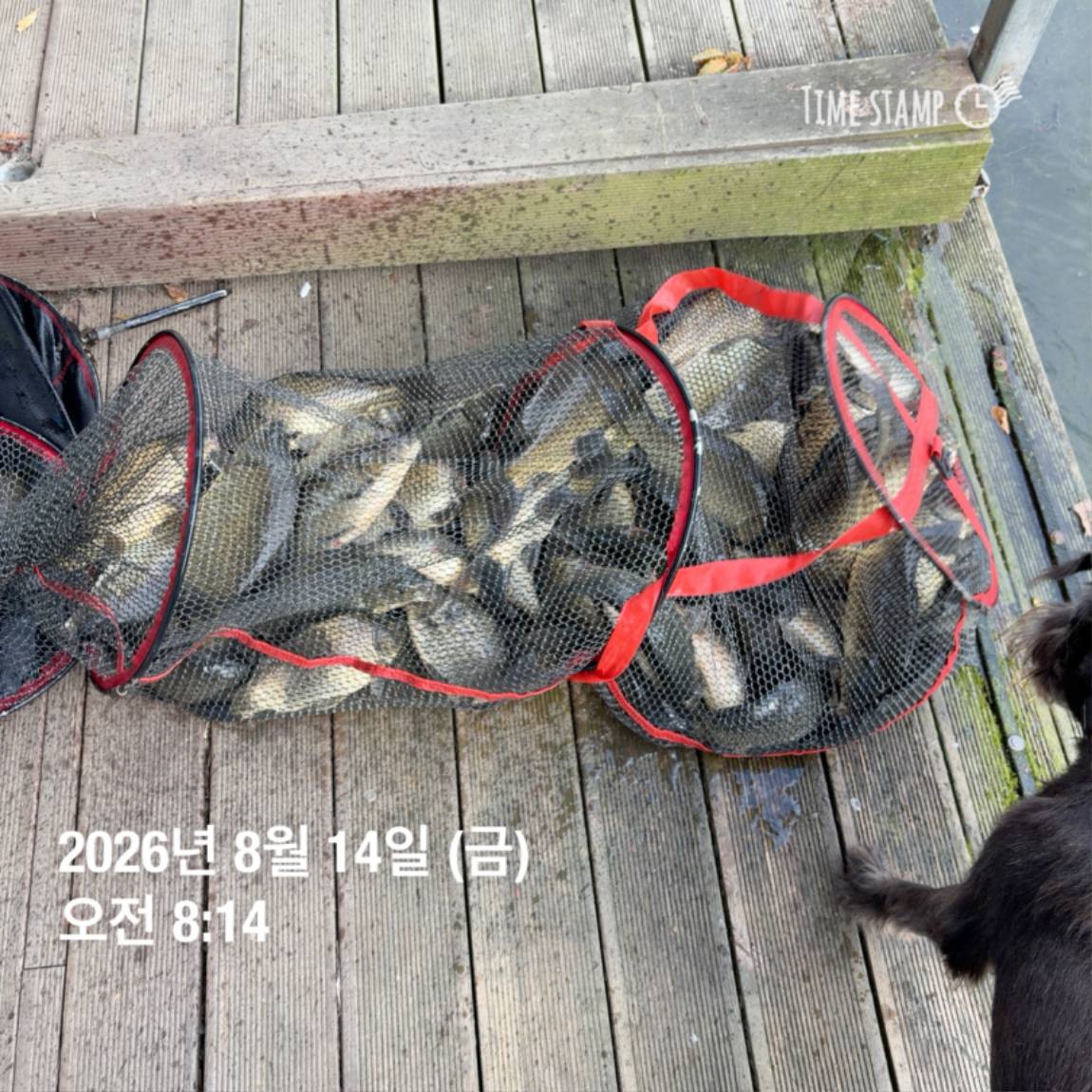 KakaoTalk_20260818_171722973_03.jpg