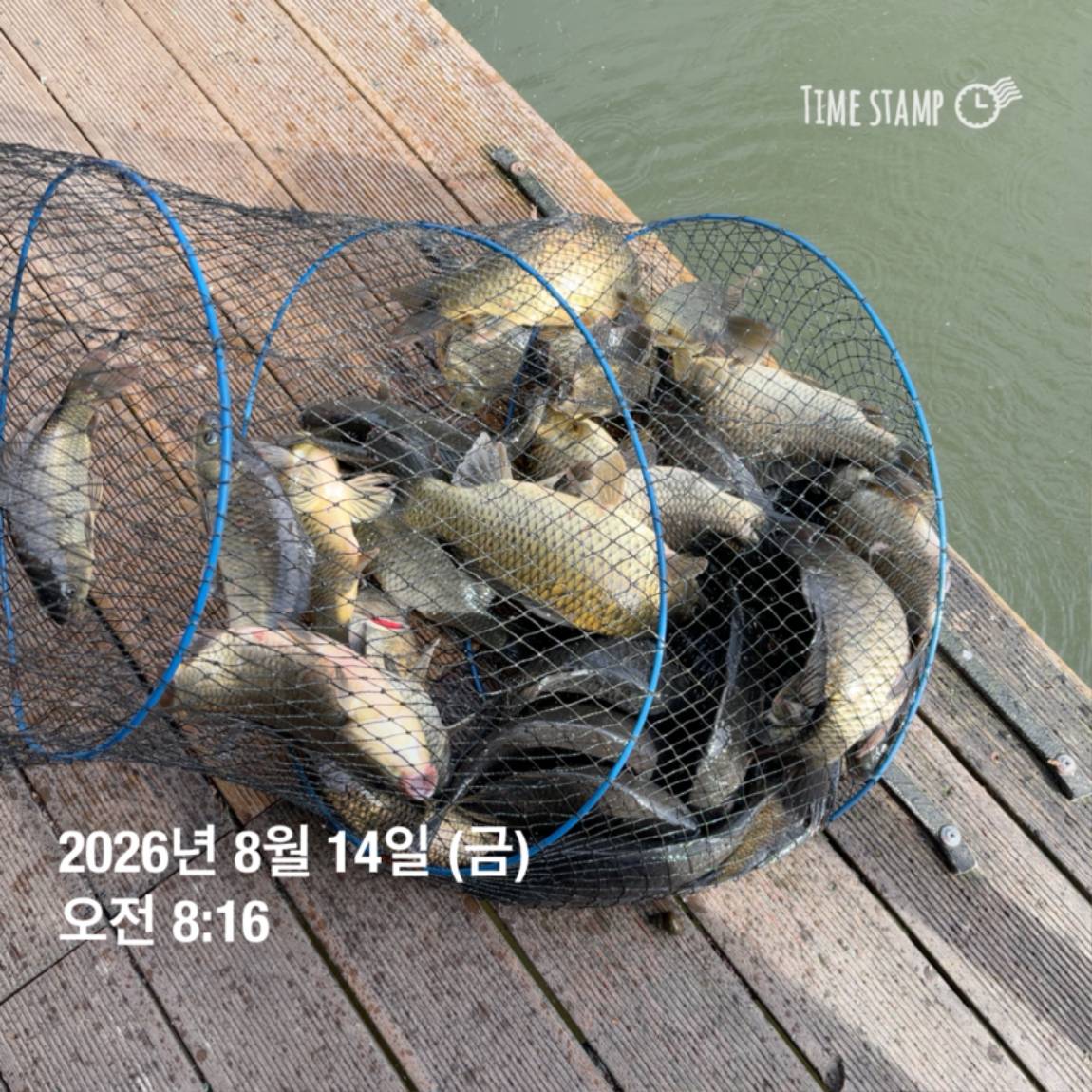 KakaoTalk_20260818_171722973_05.jpg