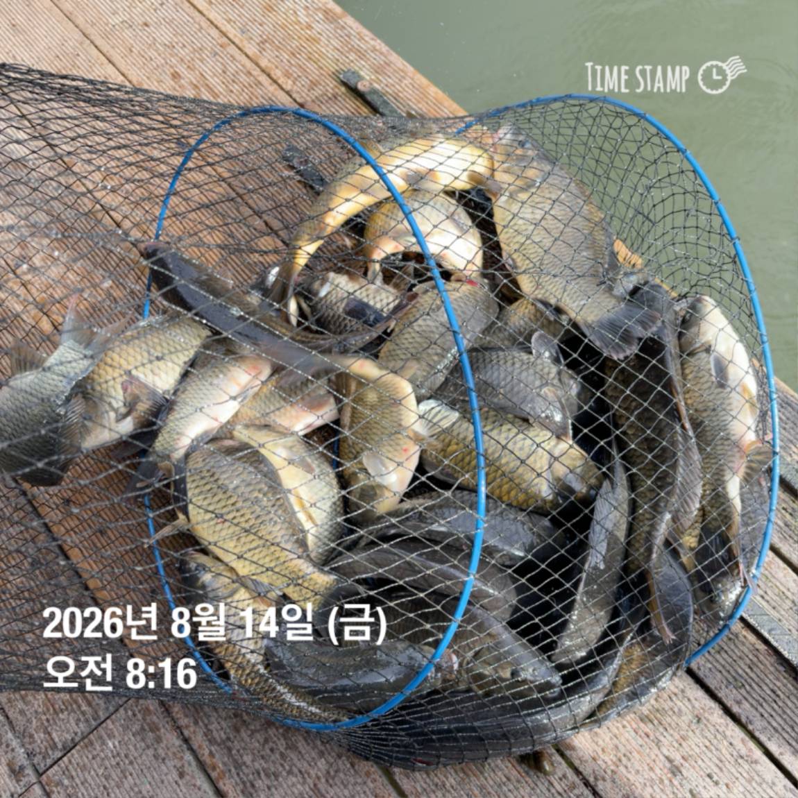 KakaoTalk_20260818_171722973_06.jpg