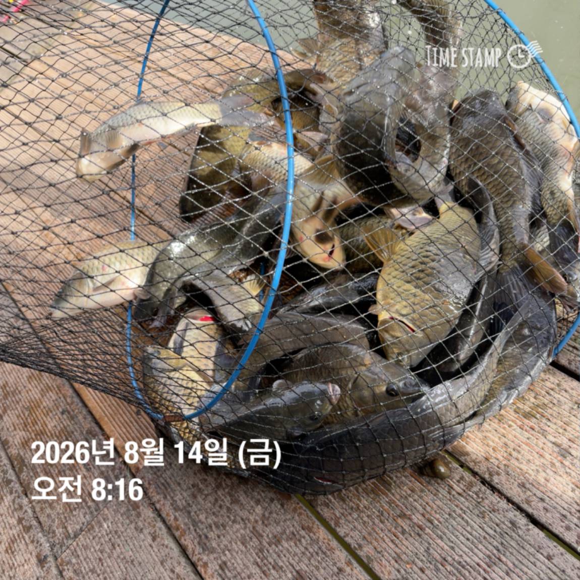 KakaoTalk_20260818_171722973_07.jpg