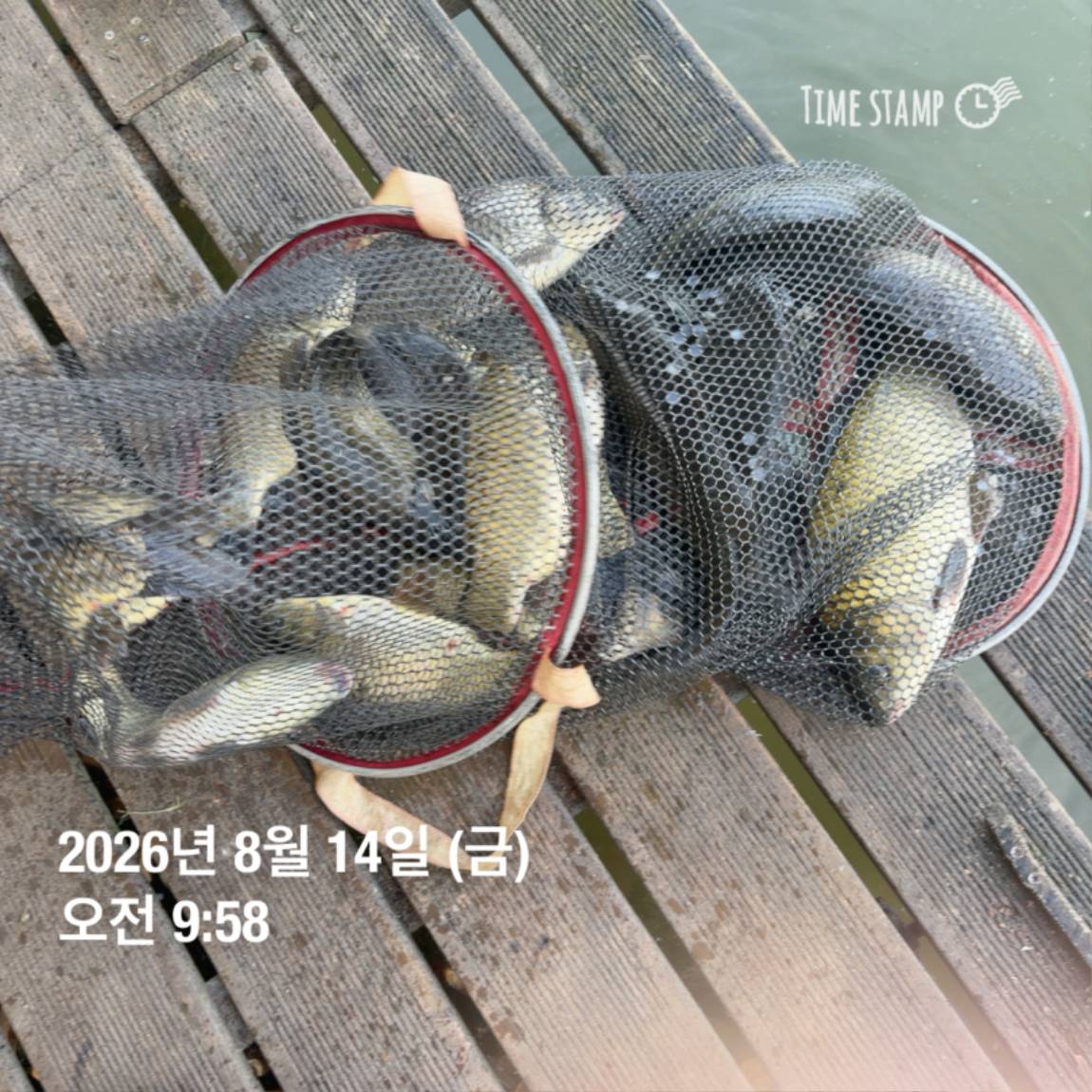 KakaoTalk_20260818_171722973_09.jpg