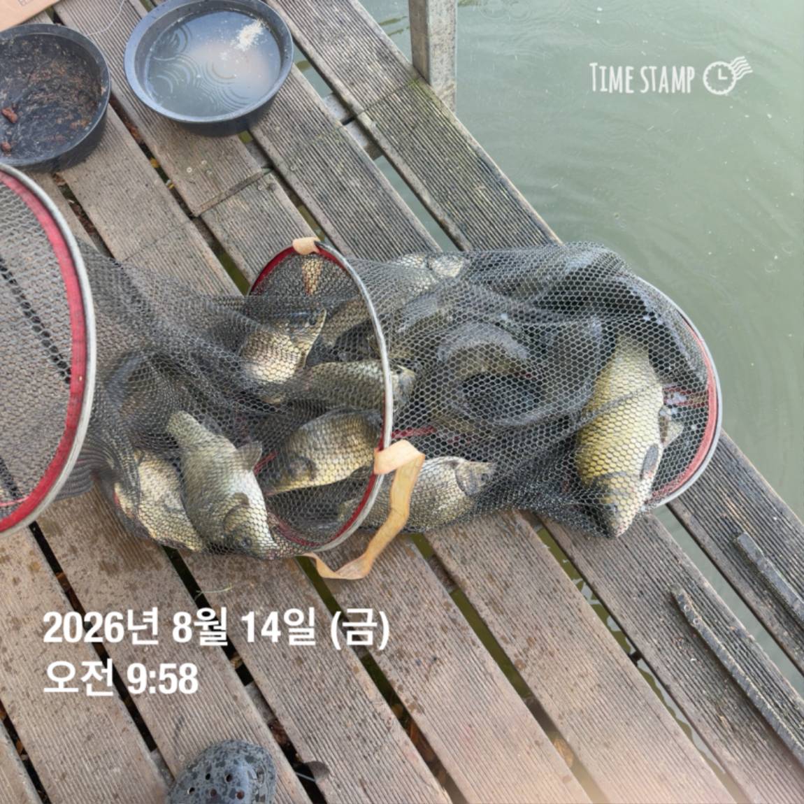 KakaoTalk_20260818_171722973_08.jpg