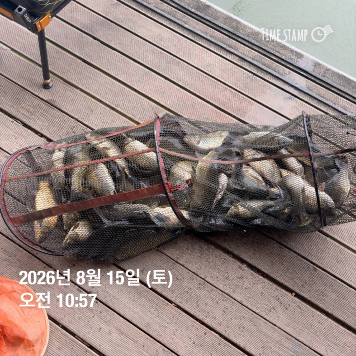 KakaoTalk_20260818_171722973_12.jpg