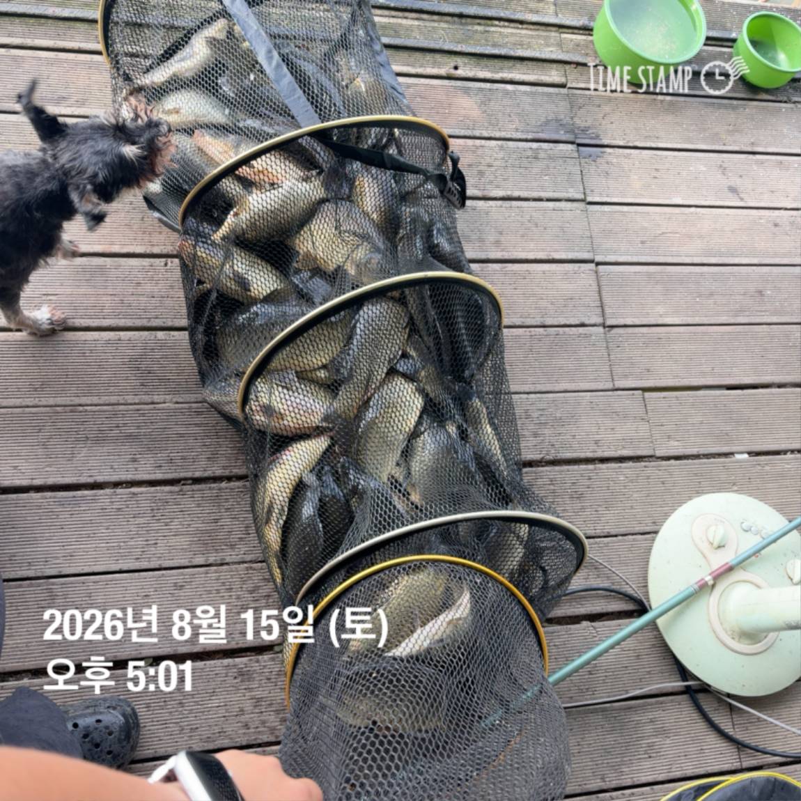 KakaoTalk_20260818_171722973_14.jpg