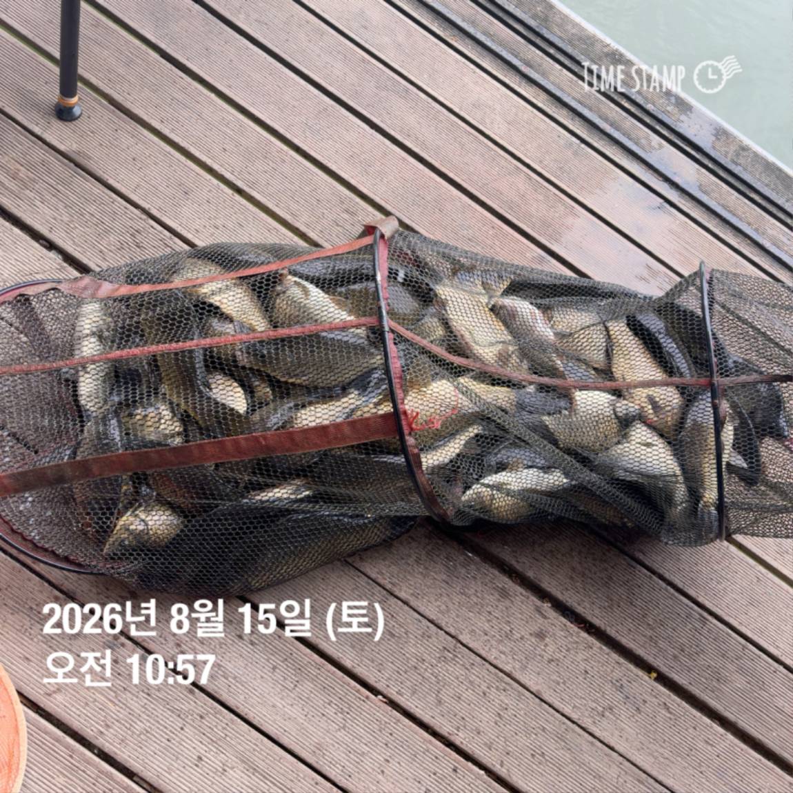 KakaoTalk_20260818_171722973_13.jpg