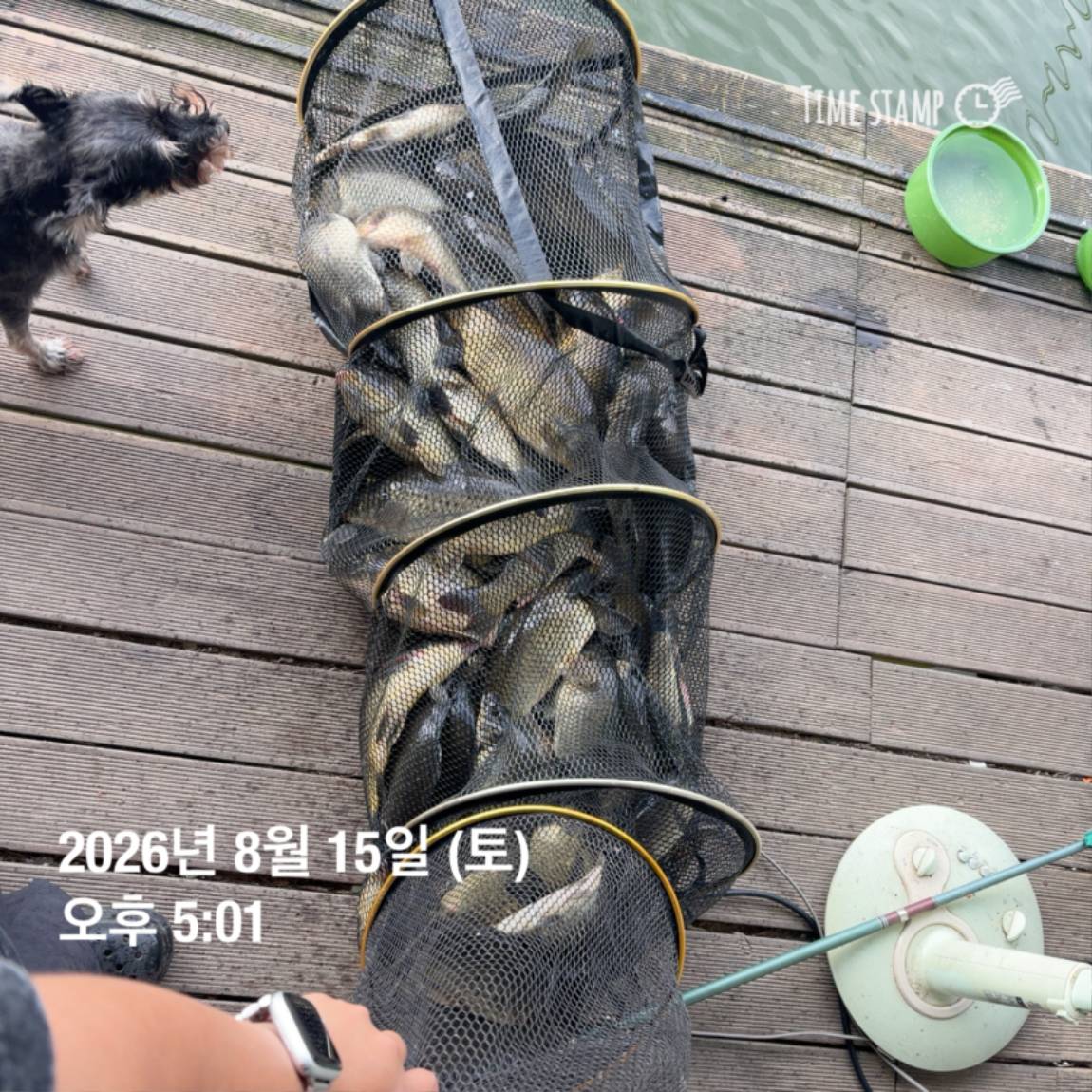 KakaoTalk_20260818_171722973_15.jpg