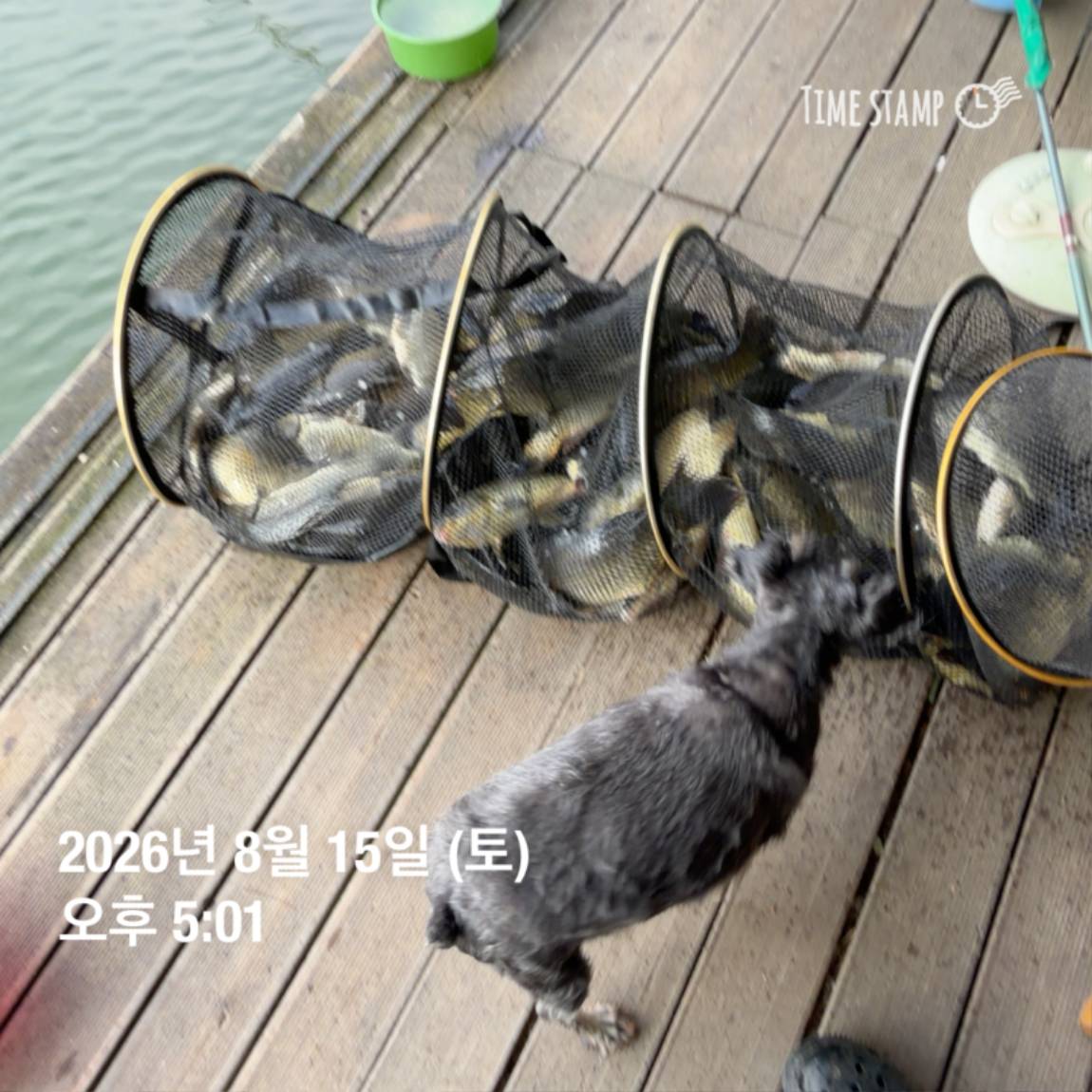 KakaoTalk_20260818_171722973_16.jpg