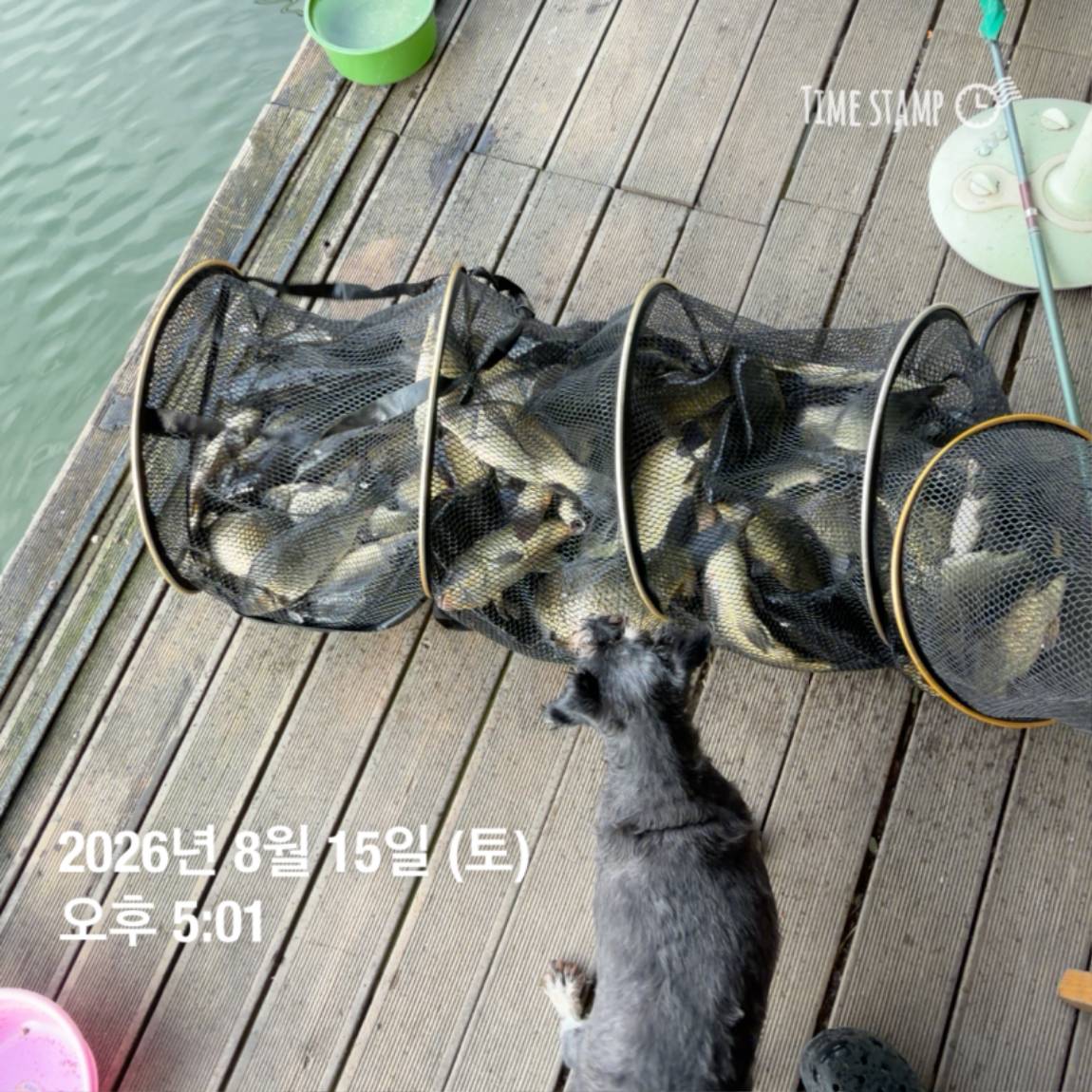 KakaoTalk_20260818_171722973_17.jpg