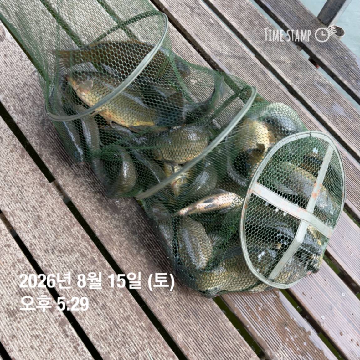 KakaoTalk_20260818_171722973_18.jpg