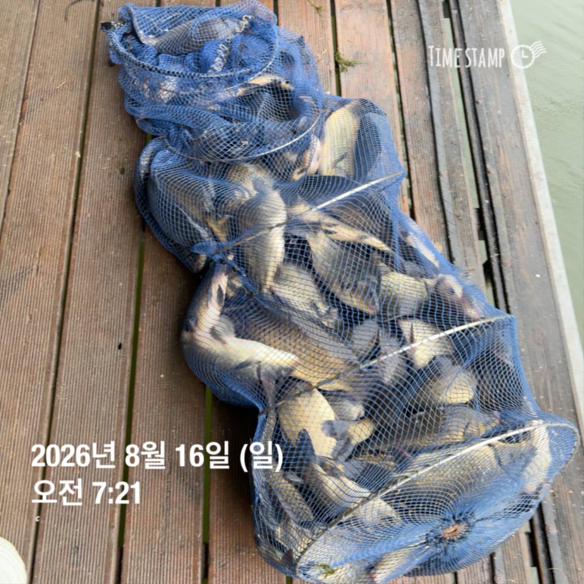 KakaoTalk_20260818_171722973_21.jpg