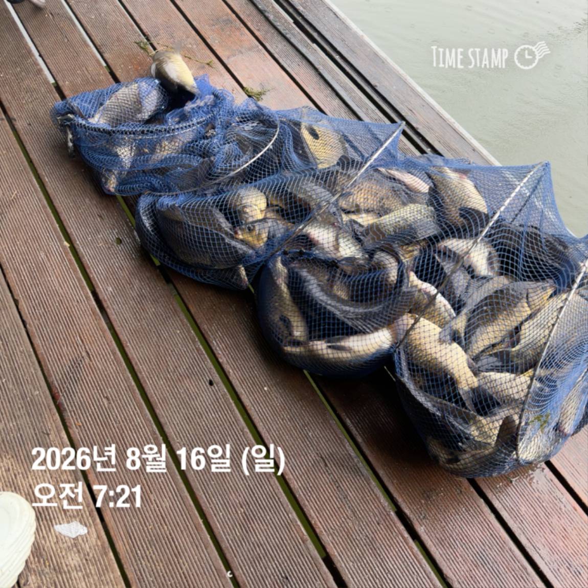 KakaoTalk_20260818_171722973_22.jpg