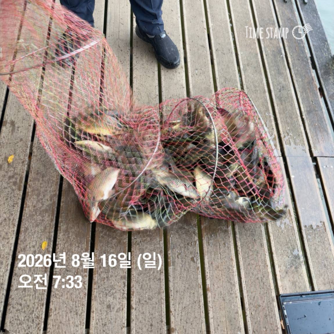 KakaoTalk_20260818_171722973_24.jpg