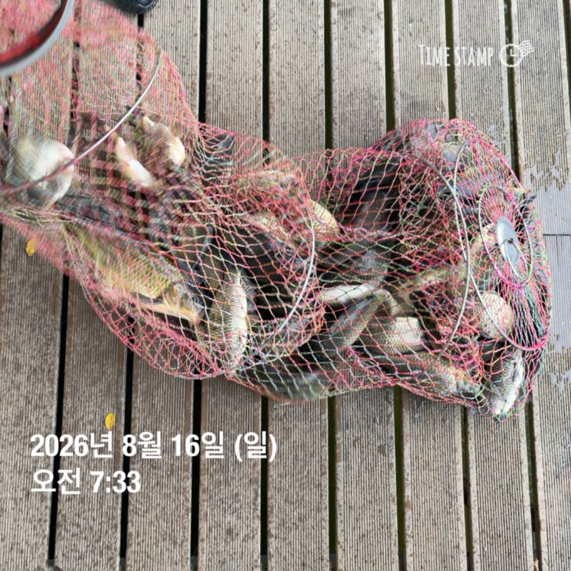 KakaoTalk_20260818_171722973_26.jpg