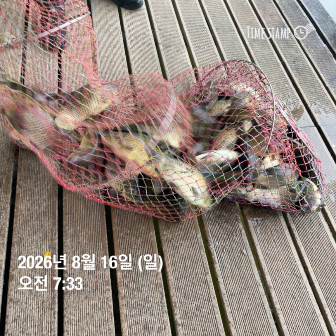 KakaoTalk_20260818_171722973_25.jpg