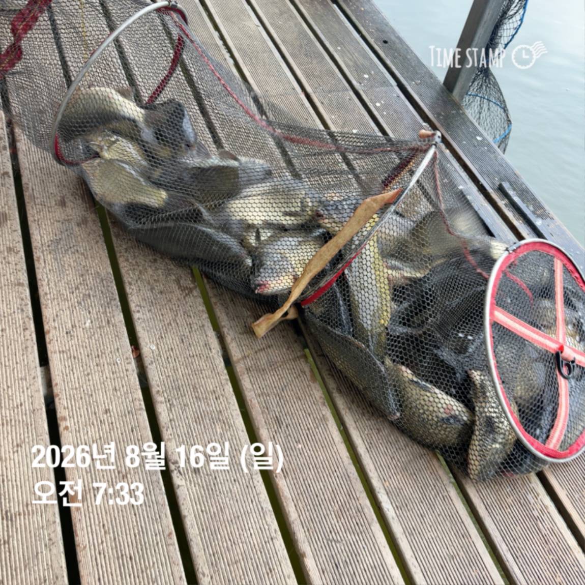 KakaoTalk_20260818_171722973_28.jpg