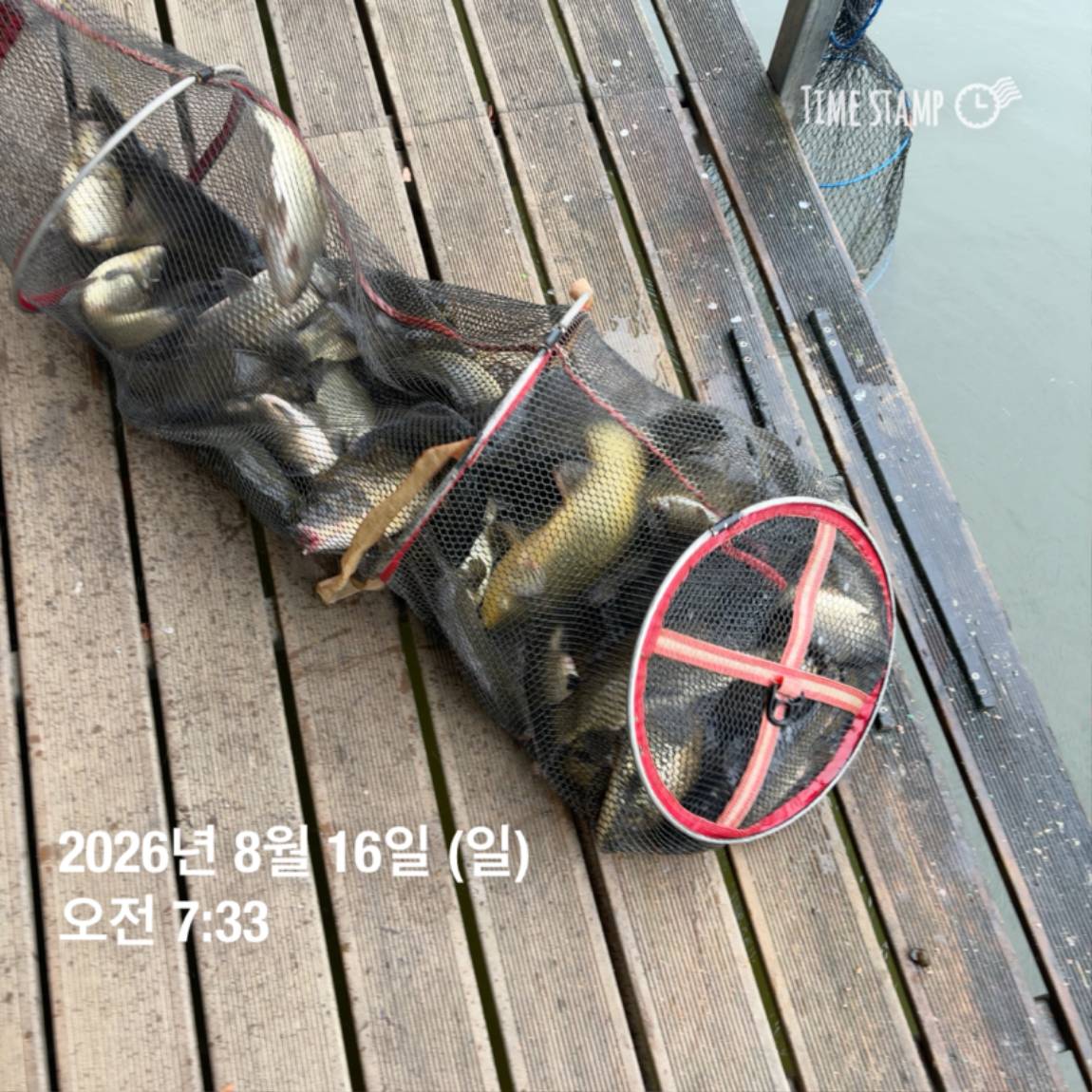 KakaoTalk_20260818_171722973_27.jpg