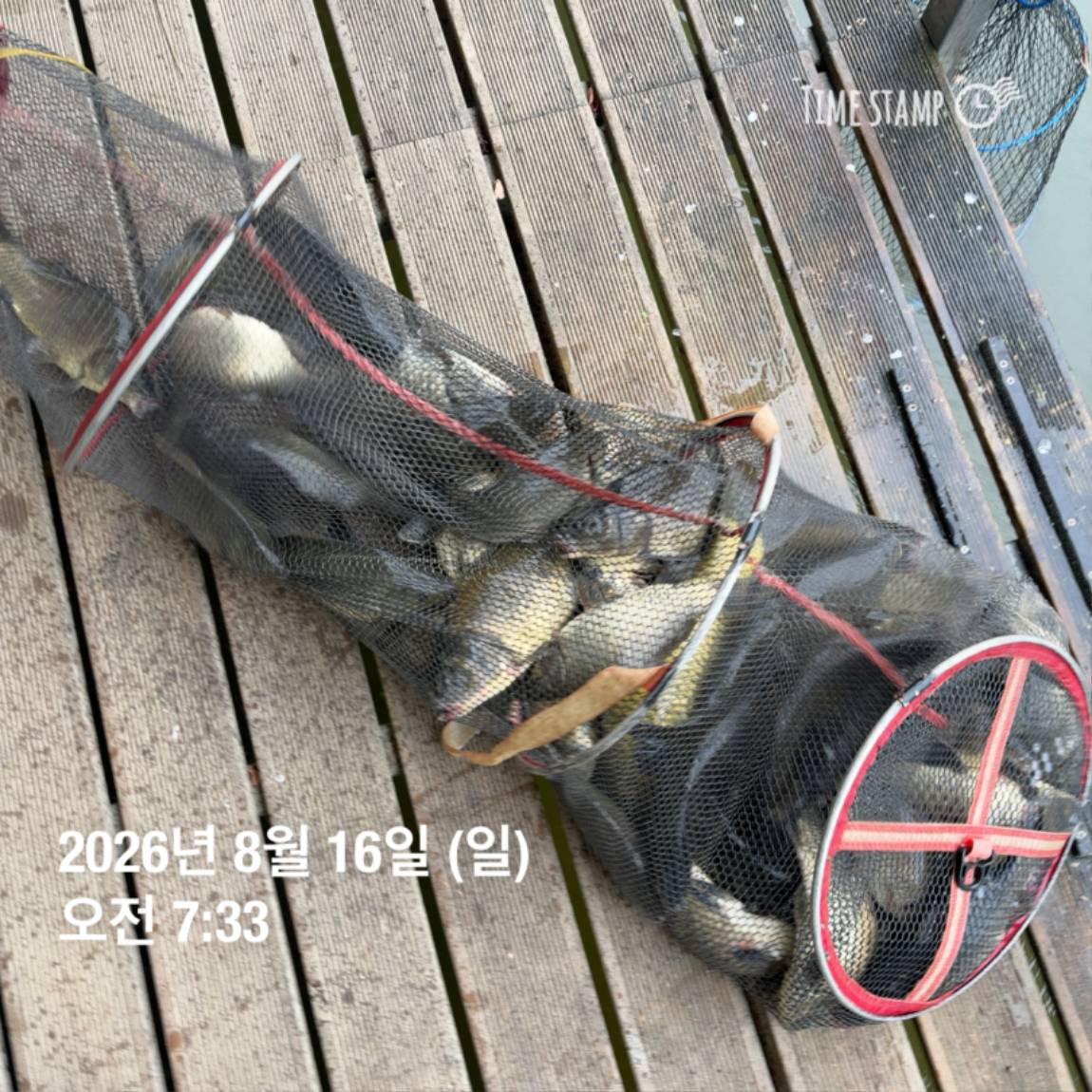 KakaoTalk_20260818_171722973_29.jpg