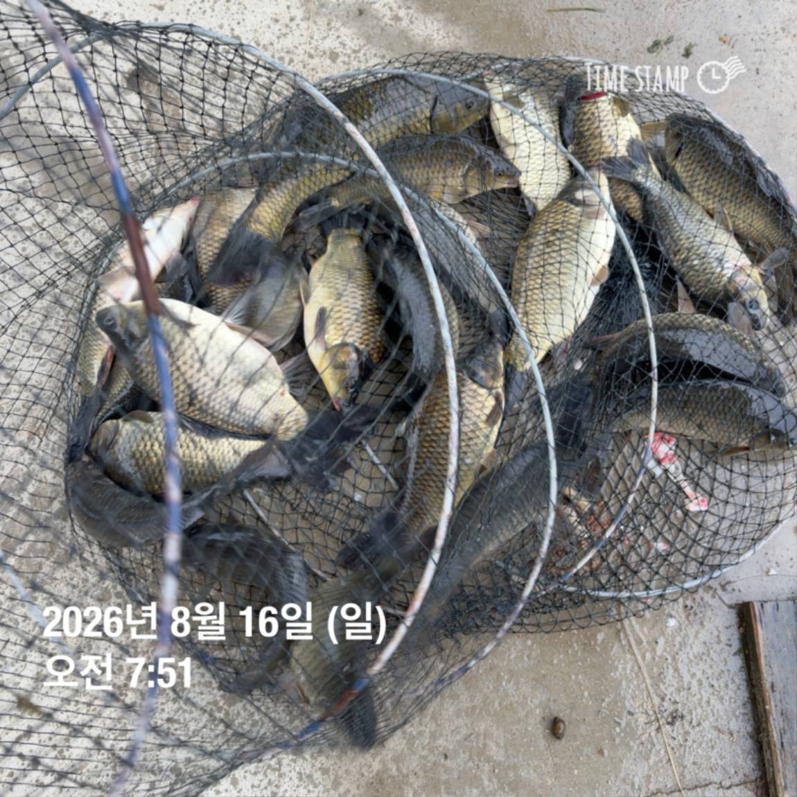 KakaoTalk_20260818_171729585.jpg