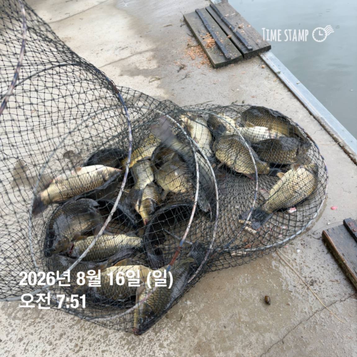 KakaoTalk_20260818_171729585_01.jpg