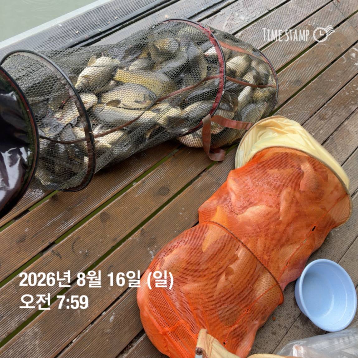 KakaoTalk_20260818_171729585_02.jpg