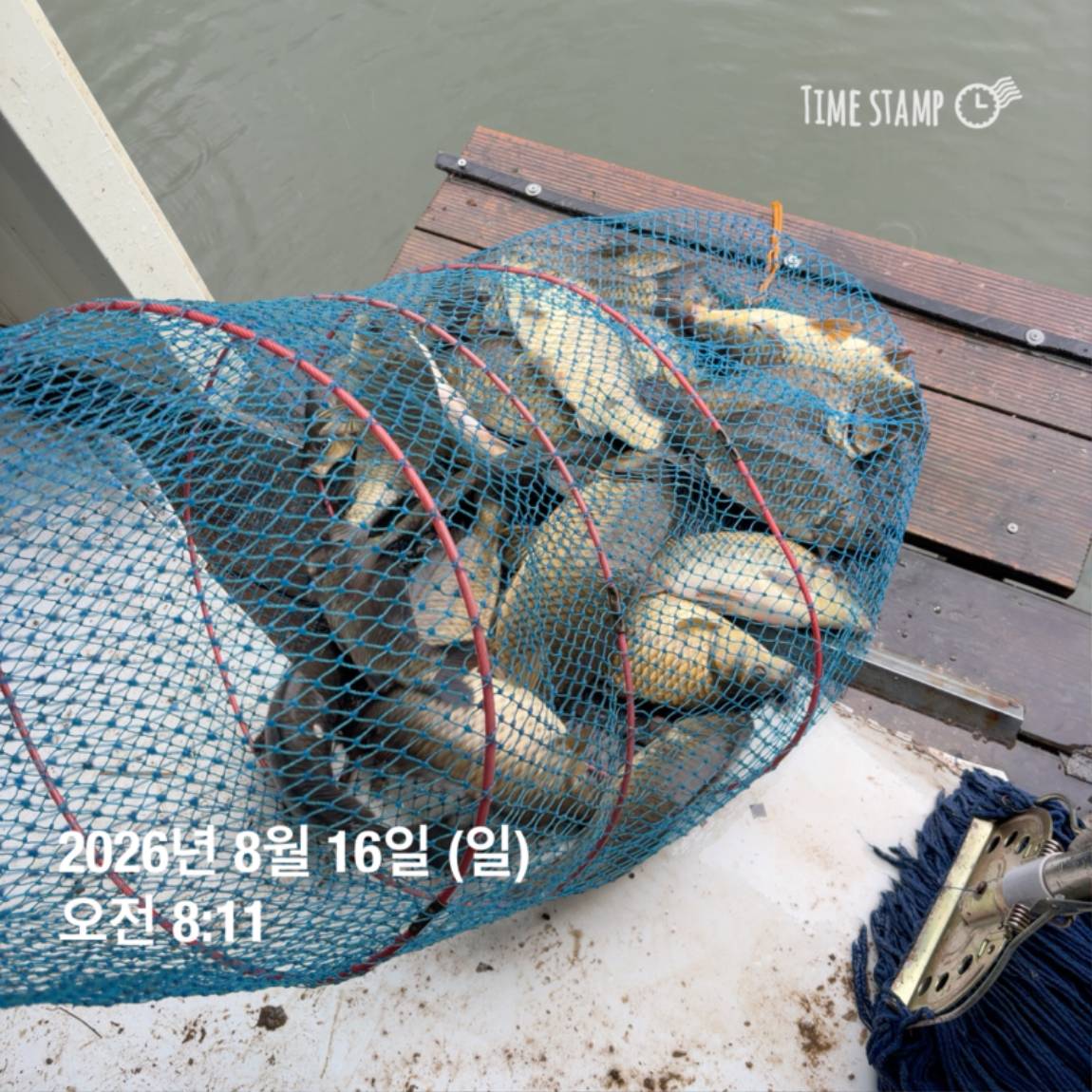 KakaoTalk_20260818_171729585_06.jpg