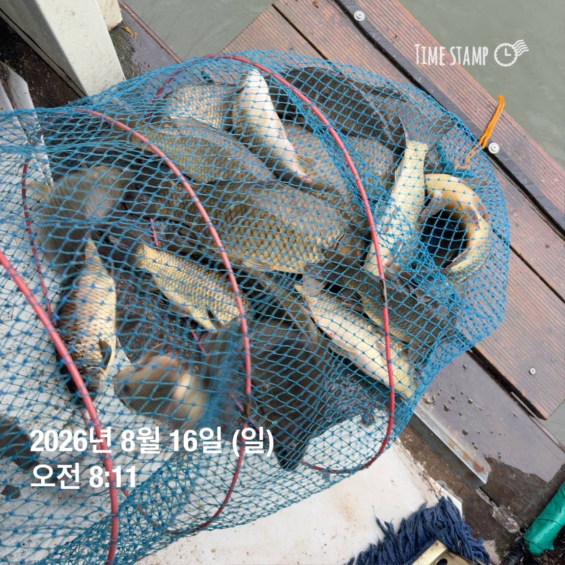KakaoTalk_20260818_171729585_05.jpg