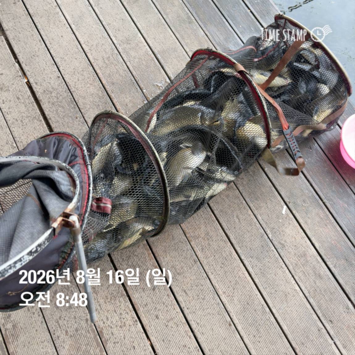 KakaoTalk_20260818_171729585_07.jpg