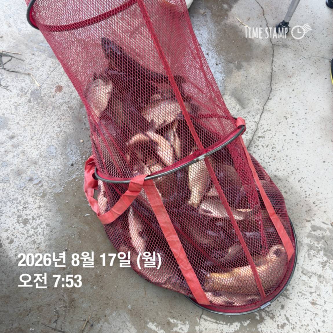 KakaoTalk_20260818_171729585_10.jpg