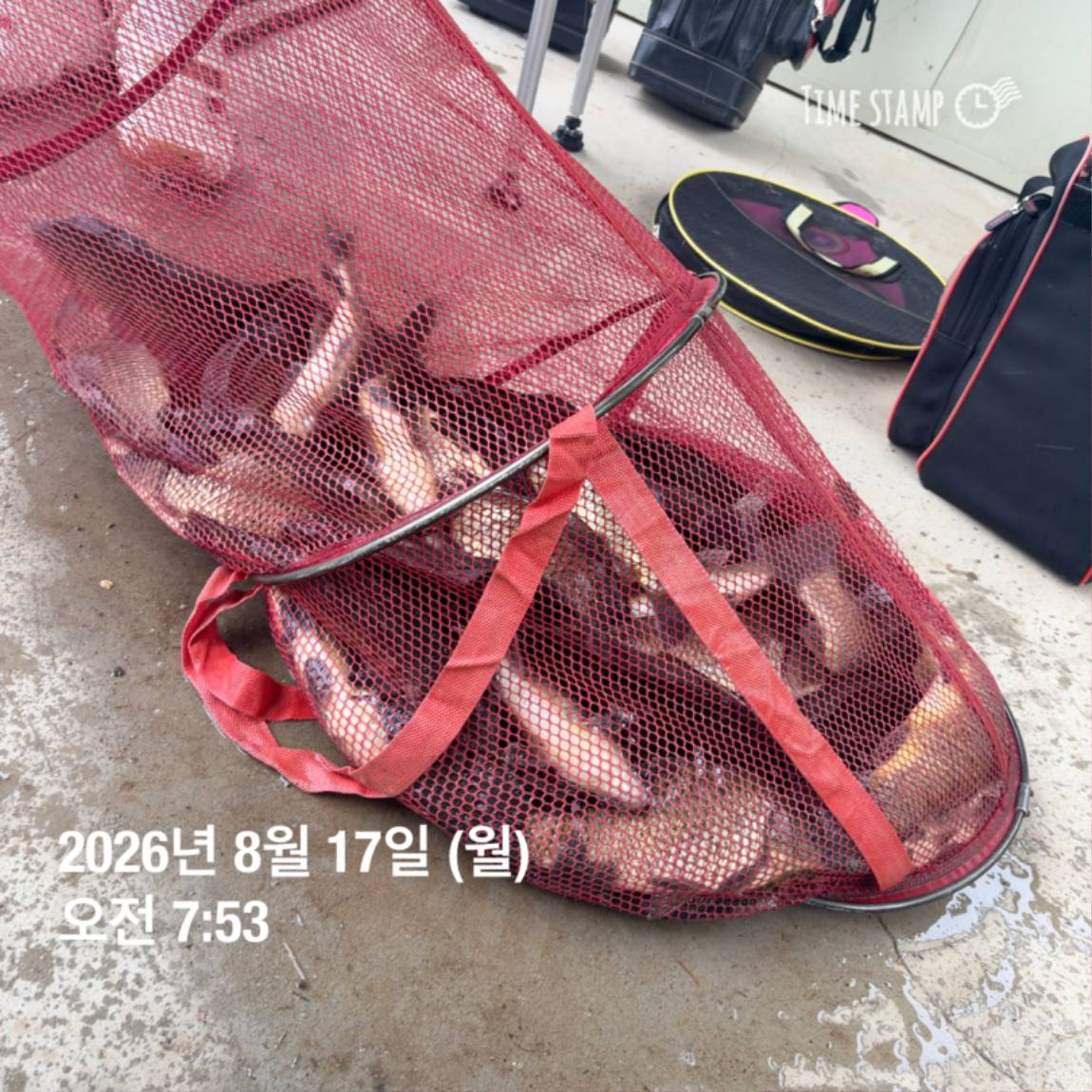 KakaoTalk_20260818_171729585_11.jpg