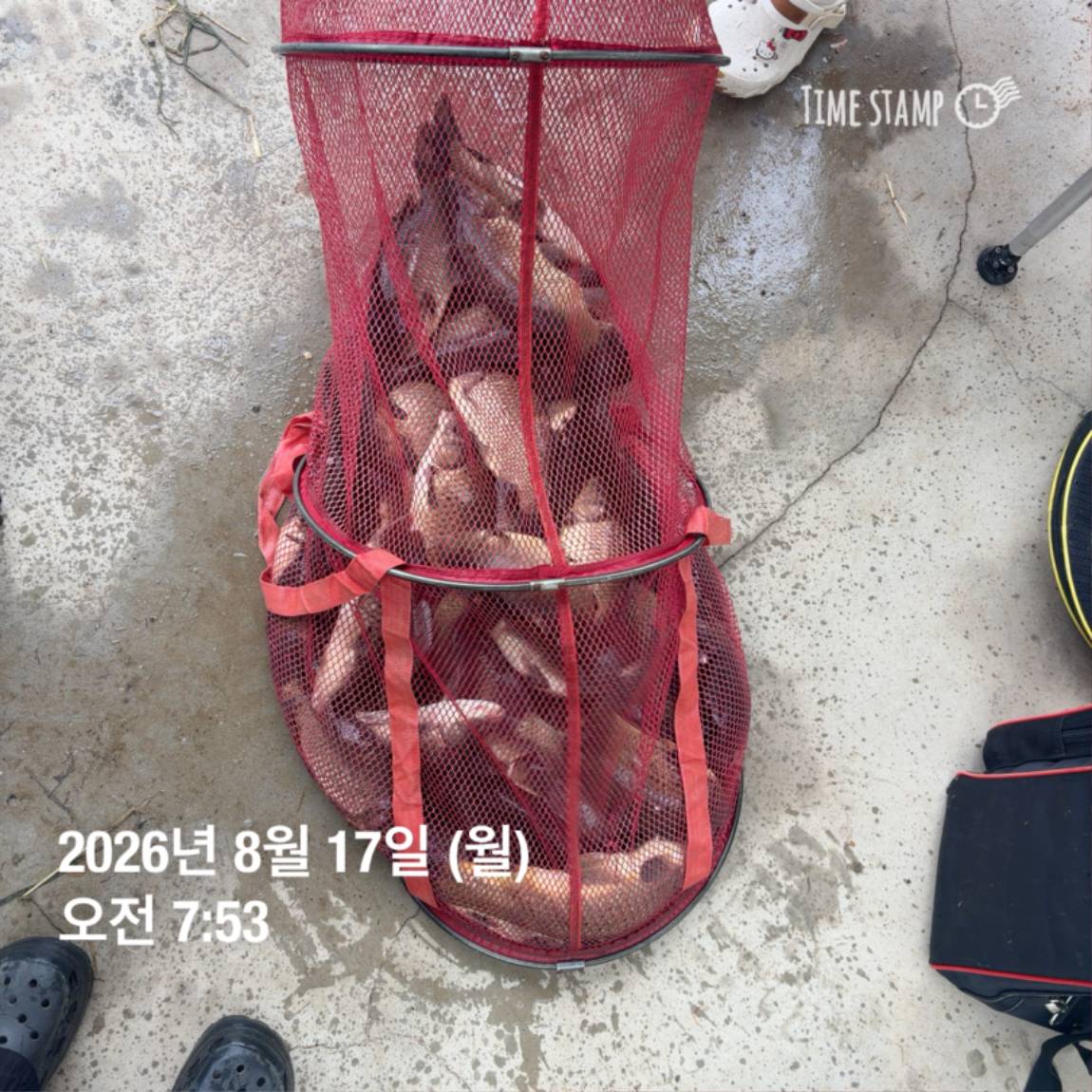 KakaoTalk_20260818_171729585_12.jpg