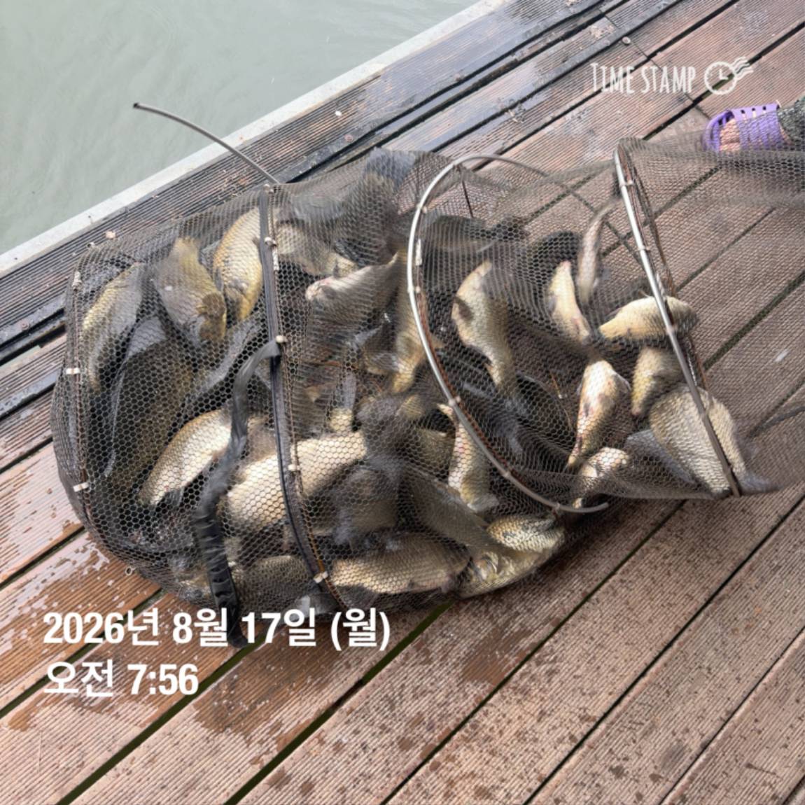 KakaoTalk_20260818_171729585_13.jpg