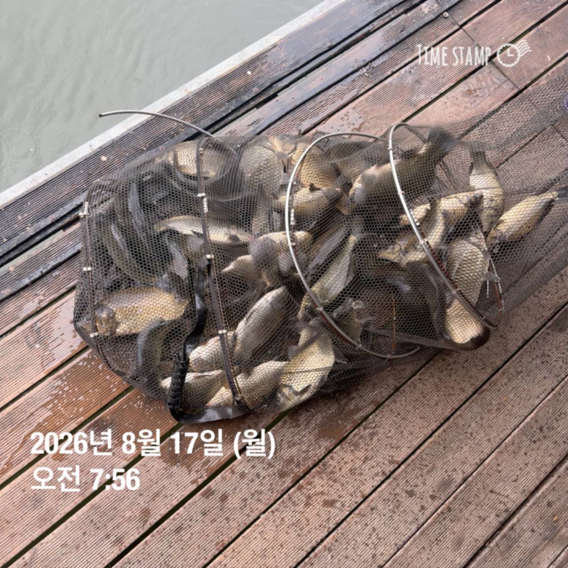 KakaoTalk_20260818_171729585_14.jpg