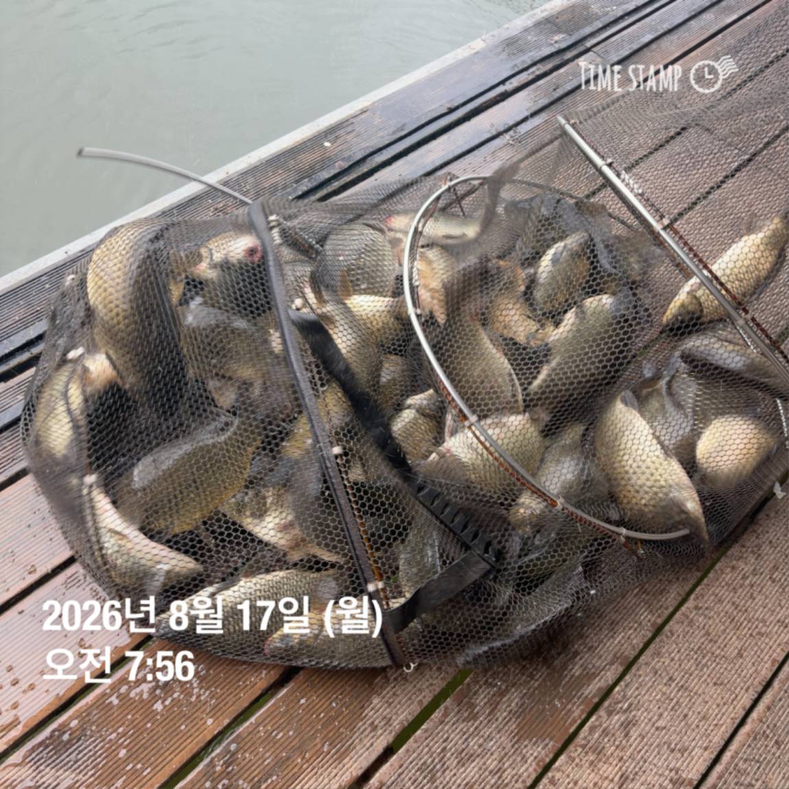 KakaoTalk_20260818_171729585_15.jpg