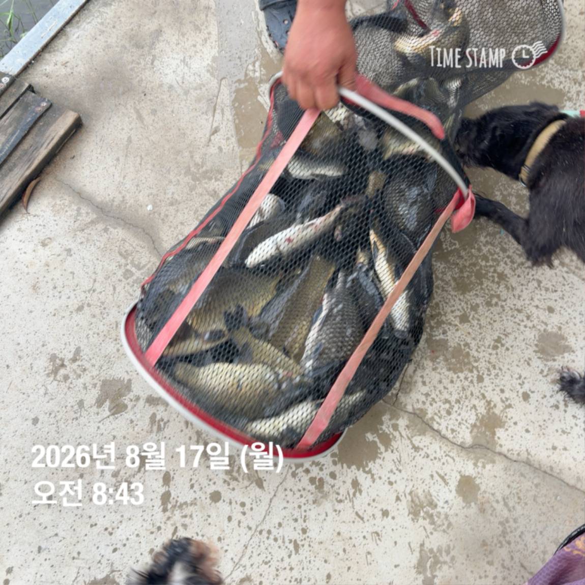 KakaoTalk_20260818_171729585_16.jpg