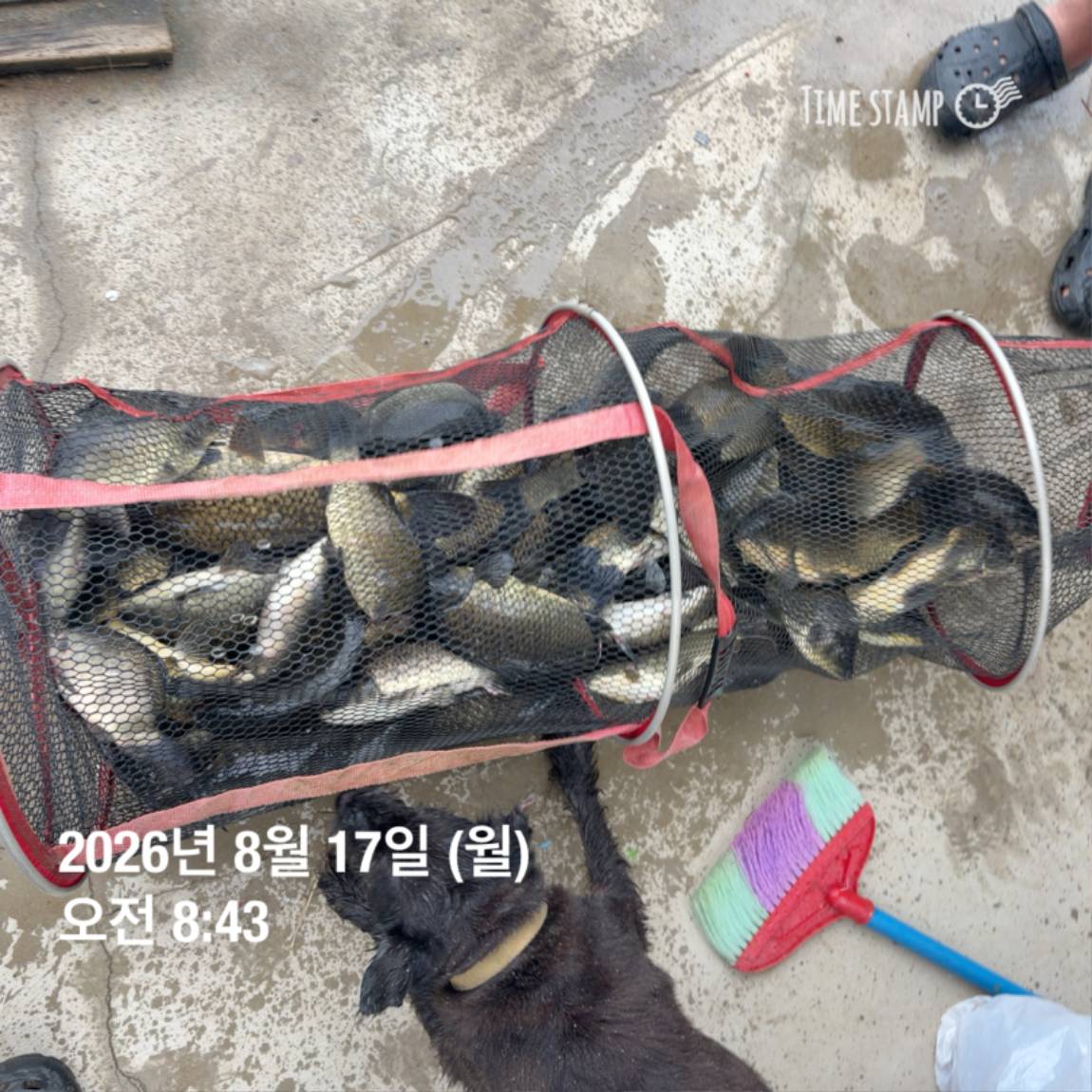 KakaoTalk_20260818_171729585_17.jpg