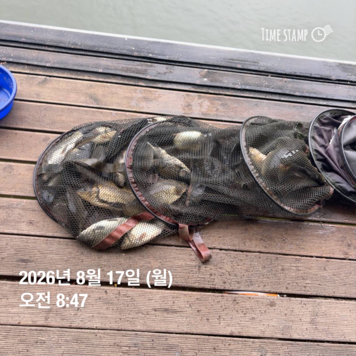 KakaoTalk_20260818_171729585_19.jpg