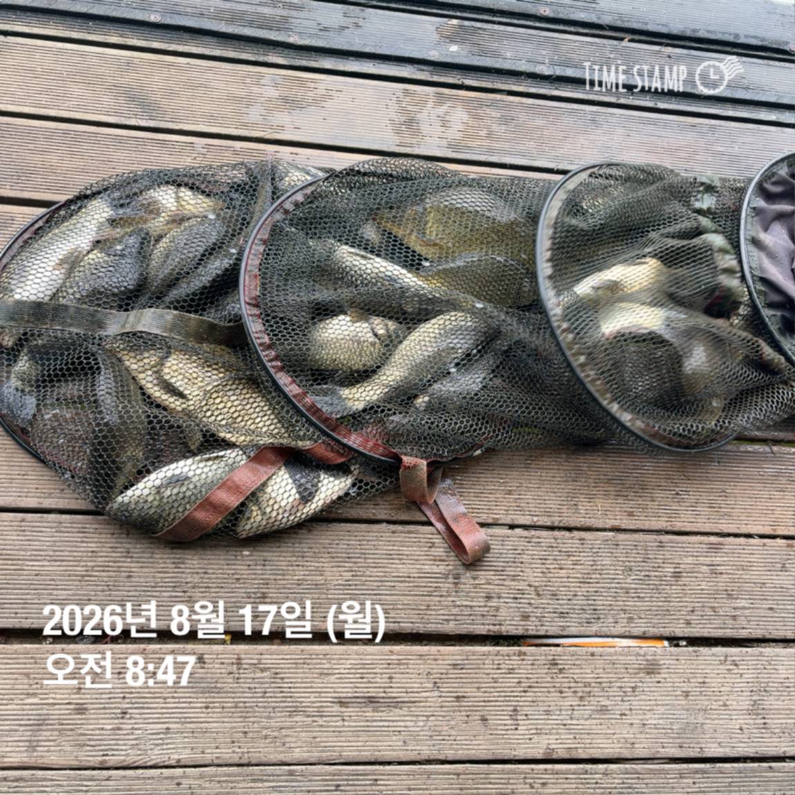 KakaoTalk_20260818_171729585_20.jpg