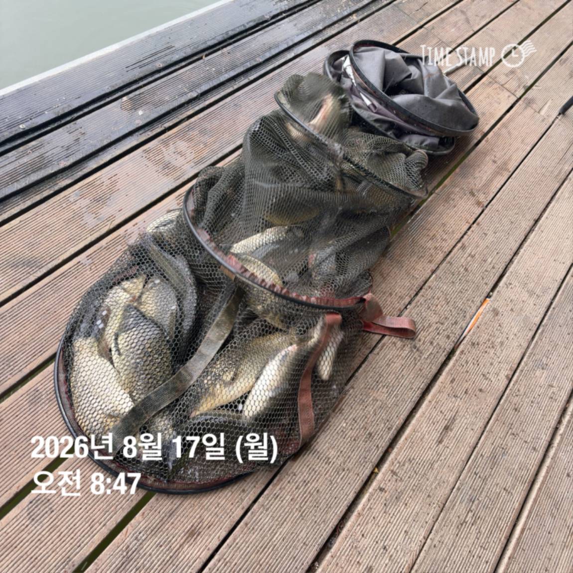 KakaoTalk_20260818_171729585_21.jpg