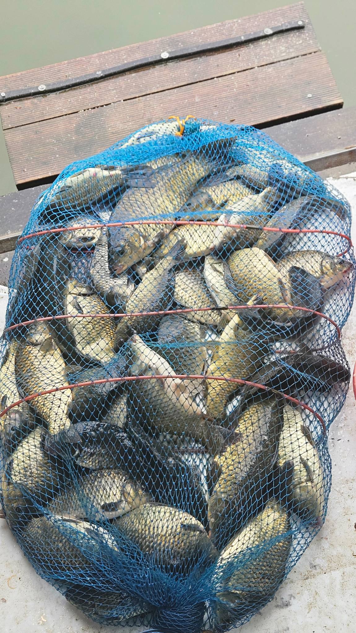 KakaoTalk_20260818_171729585_23.jpg