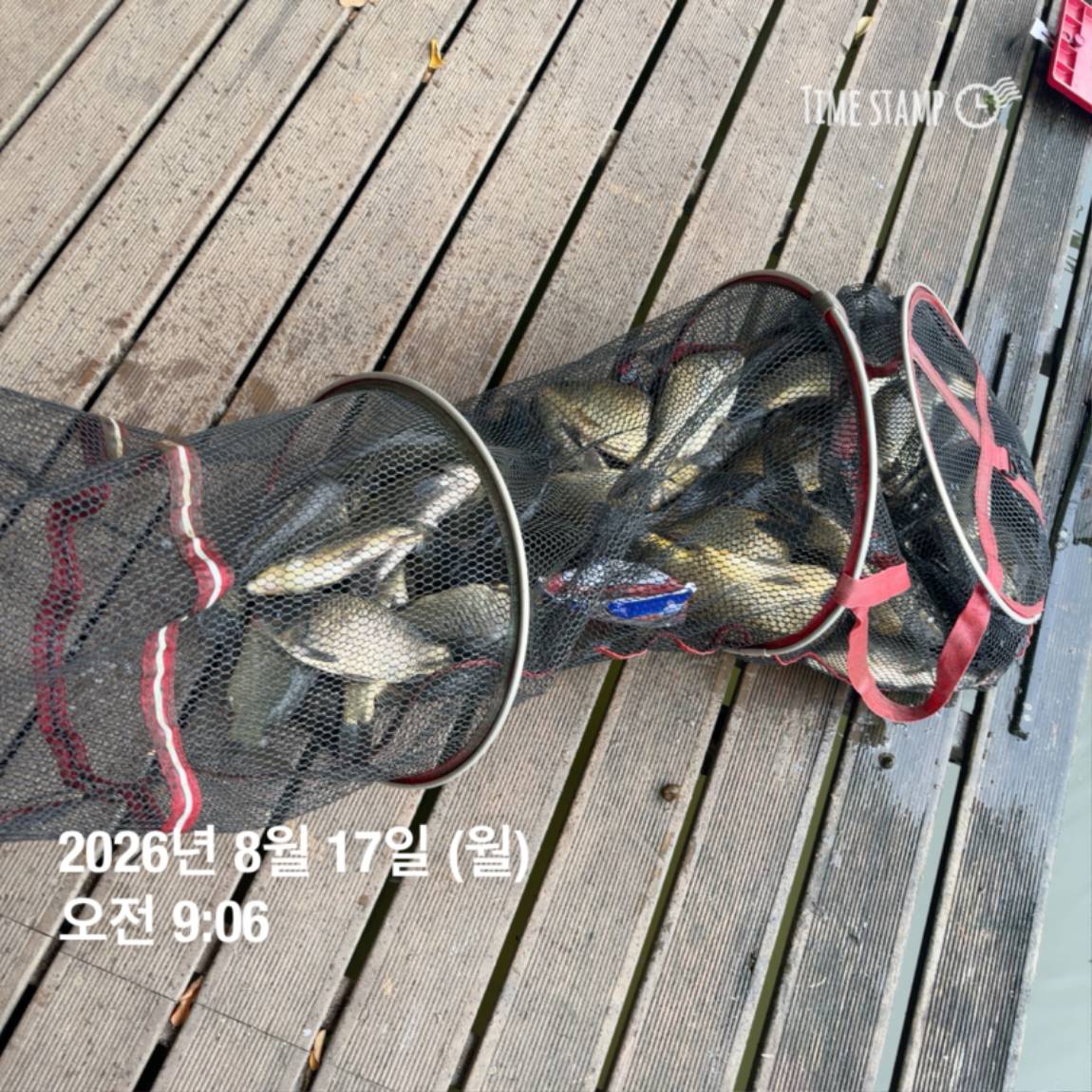 KakaoTalk_20260818_171729585_24.jpg