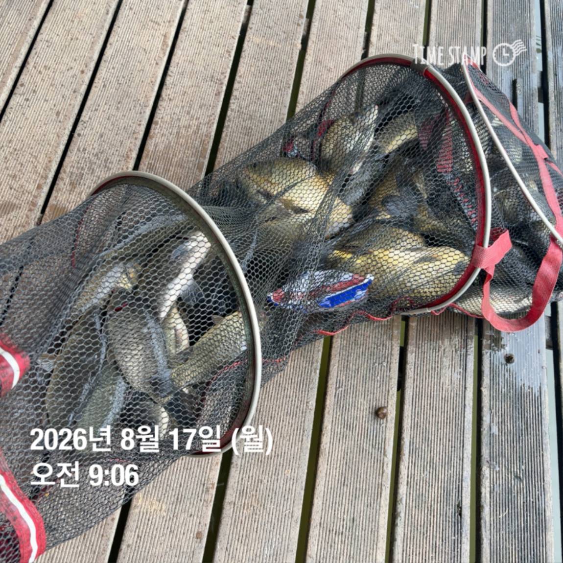 KakaoTalk_20260818_171729585_25.jpg