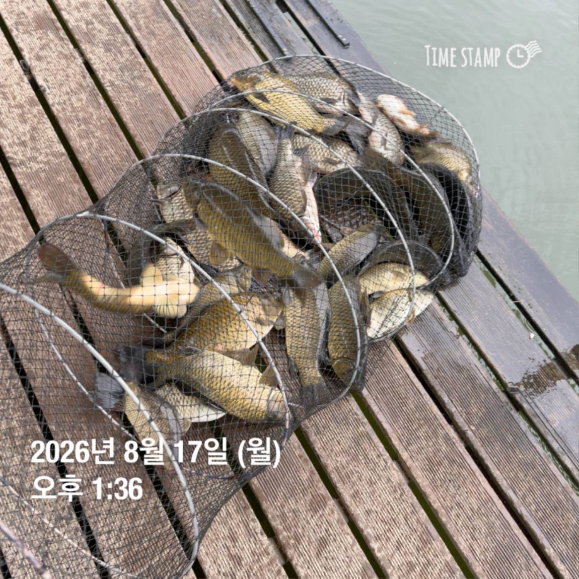 KakaoTalk_20260818_171729585_26.jpg